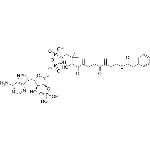 Phenylacetyl CoA 7532-39-0